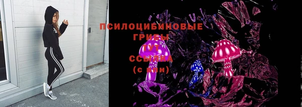 эйфоретик Баксан