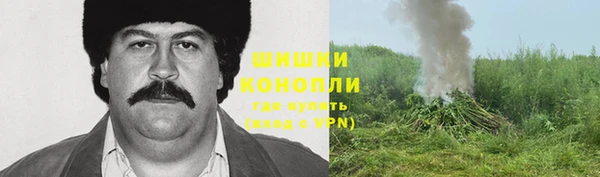 дурь Аркадак