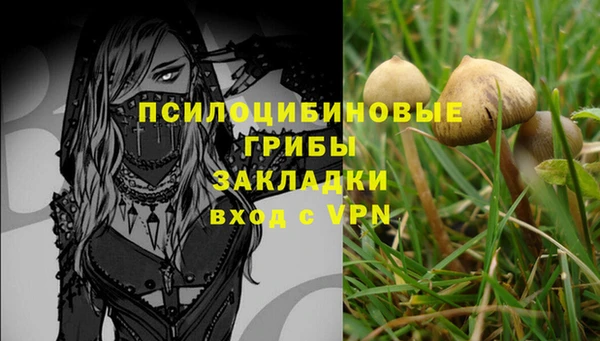 дурь Аркадак