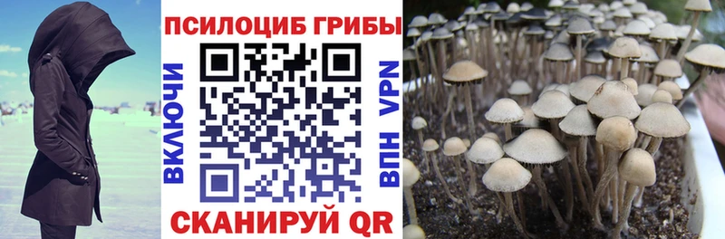 Псилоцибиновые грибы мухоморы Боровск